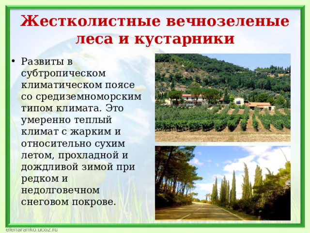 Жестколистные вечнозеленые леса и кустарники Развиты в субтропическом климатическом поясе со средиземноморским типом климата. Это умеренно теплый климат с жарким и относительно сухим летом, прохладной и дождливой зимой при редком и недолговечном снеговом покрове.  