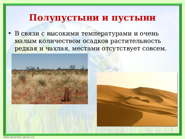 Полупустыни и пустыни В связи с высокими температурами и очень малым количеством осадков растительность редкая и чахлая, местами отсутствует совсем. 