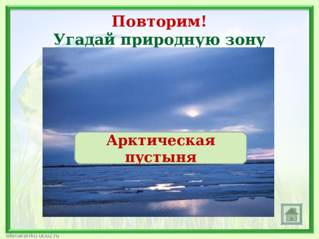 Повторим!  Угадай природную зону Саванна Экваториальный лес Тундра Лиственный лес Степь Смешанный лес Пустыня Арктическая пустыня  