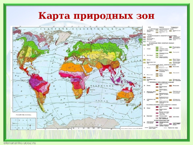 Карта природных зон 