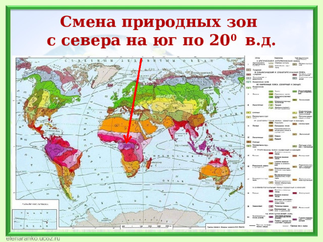 Смена природных зон  с севера на юг по 20 0 в.д. 