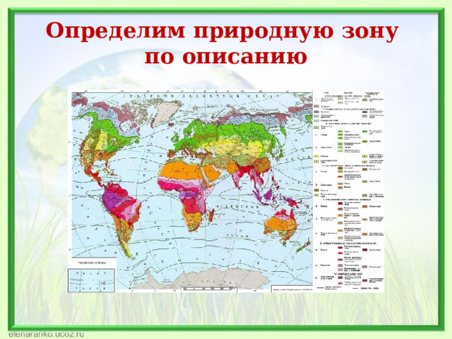 Определим природную зону  по описанию 