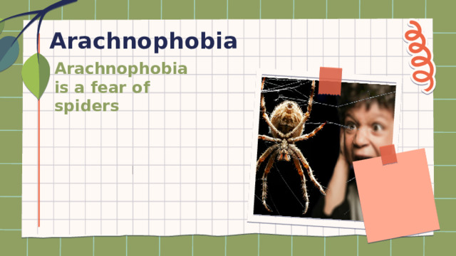 Arachnophobia Arachnophobia  is a fear of spiders 