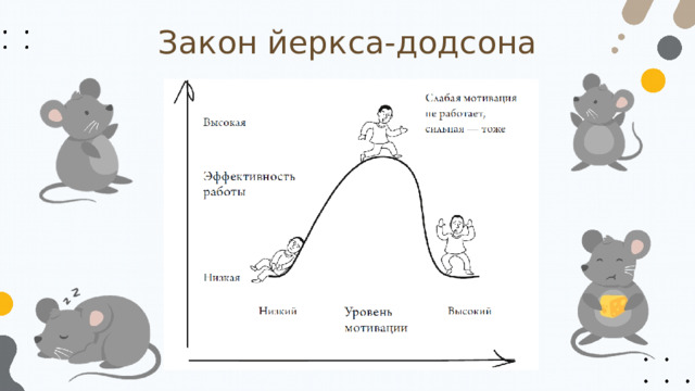 Закон йеркса-додсона 