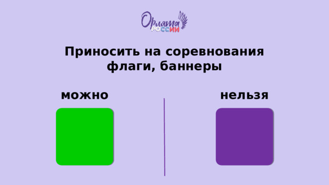 Приносить на соревнования флаги, баннеры можно нельзя 