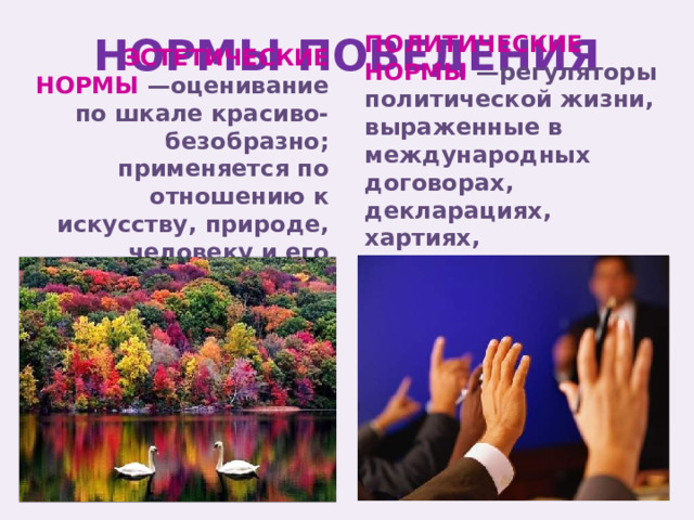НОРМЫ ПОВЕДЕНИЯ ПОЛИТИЧЕСКИЕ НОРМЫ —регуляторы политической жизни, выраженные в международных договорах, декларациях, хартиях, политических принципах ЭСТЕТИЧЕСКИЕ НОРМЫ —оценивание по шкале красиво-безобразно; применяется по отношению к искусству, природе, человеку и его поступкам. 