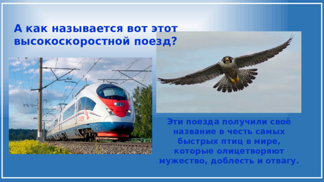 А как называется вот этот высокоскоростной поезд? Эти поезда получили своё название в честь самых быстрых птиц в мире, которые олицетворяют мужество, доблесть и отвагу. 