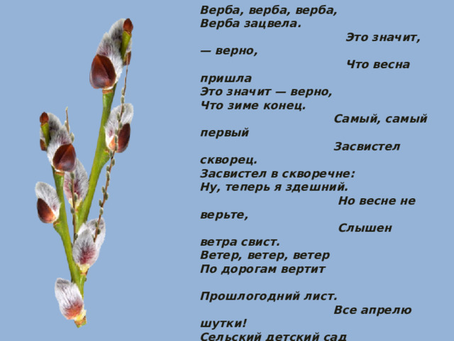 Верба, верба, верба, Верба зацвела.  Это значит, — верно,  Что весна пришла Это значит — верно, Что зиме конец.  Самый, самый первый  Засвистел скворец. Засвистел в скворечне: Ну, теперь я здешний.  Но весне не верьте,  Слышен ветра свист. Ветер, ветер, ветер По дорогам вертит  Прошлогодний лист.  Все апрелю шутки! Сельский детский сад Утром скинул шубки,  В полдень — снегопад.  Но не так уж скверно Обстоят дела, Если верба, верба  Верба зацвела.  А.Барто 