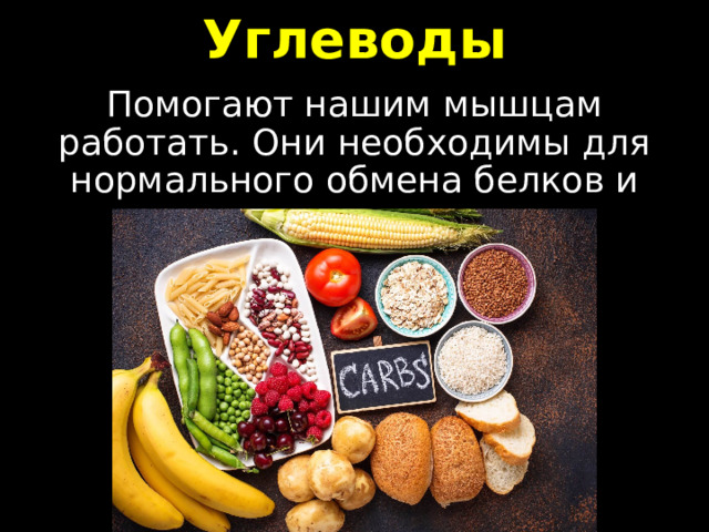 Углеводы Помогают нашим мышцам работать. Они необходимы для нормального обмена белков и жиров. 