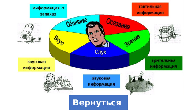 Вернуться 