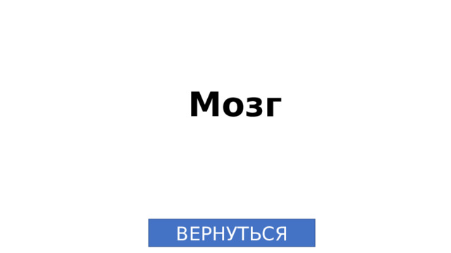 Мозг ВЕРНУТЬСЯ 