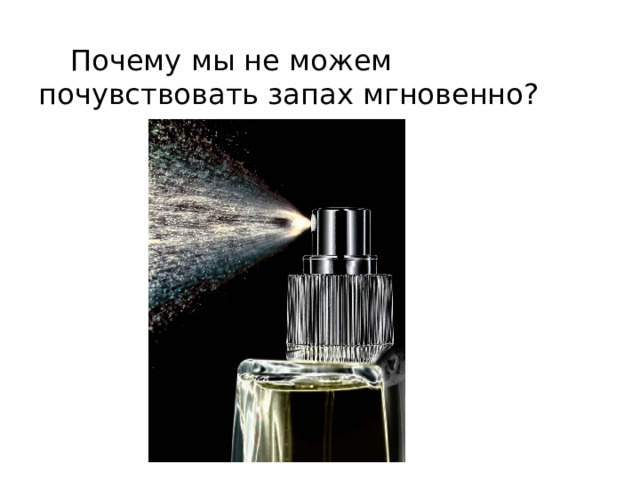  Почему мы не можем почувствовать запах мгновенно? 