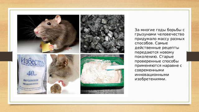 За многие годы борьбы с грызунами человечество придумало массу разных способов. Самые действенные рецепты передаются новому поколению. Старые проверенные способы применяются наравне с современными инновационными изобретениями. 