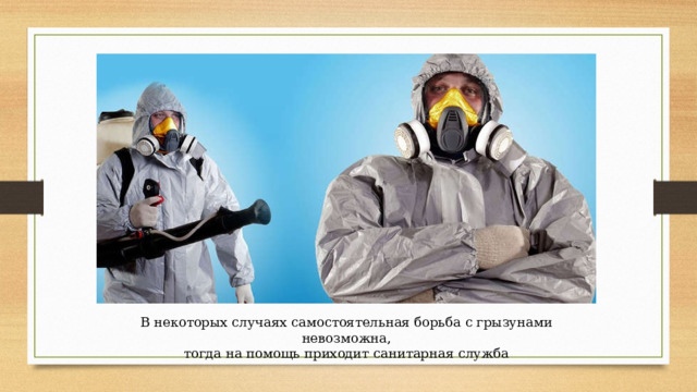 В некоторых случаях самостоятельная борьба с грызунами невозможна,  тогда на помощь приходит санитарная служба 