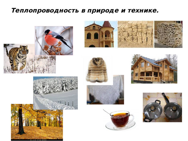 Теплопроводность в природе и технике. 