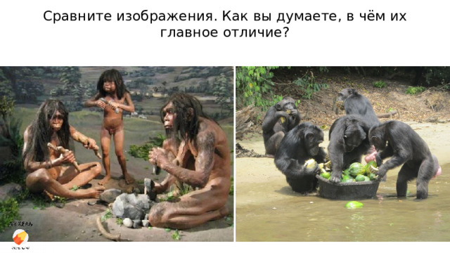 Сравните изображения. Как вы думаете, в чём их главное отличие? 