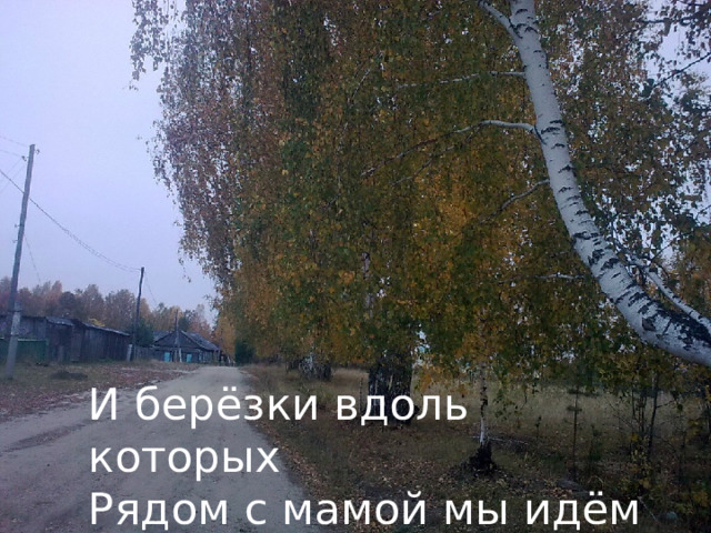 И берёзки вдоль которых Рядом с мамой мы идём 
