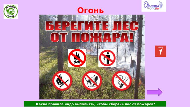 Огонь  Какие правила надо выполнять, чтобы сберечь лес от пожаров? 