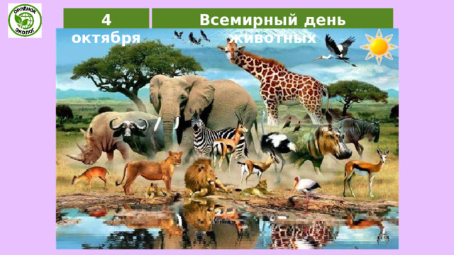 Всемирный день животных 4 октября 