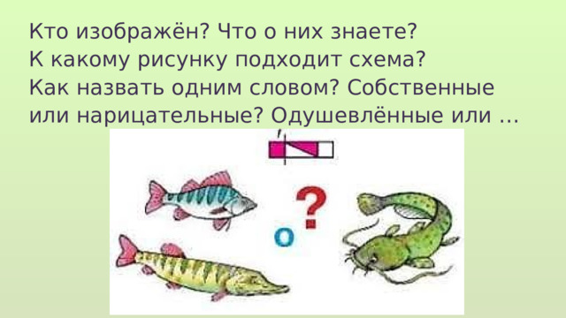 Кто изображён? Что о них знаете? К какому рисунку подходит схема? Как назвать одним словом? Собственные или нарицательные? Одушевлённые или … 