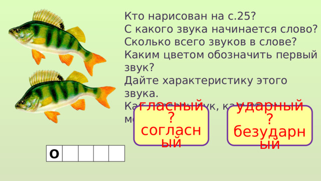Кто нарисован на с.25? С какого звука начинается слово? Сколько всего звуков в слове? Каким цветом обозначить первый звук? Дайте характеристику этого звука. Как назвать лук, капусту и морковь? гласный ударный ? ? согласный безударный О 