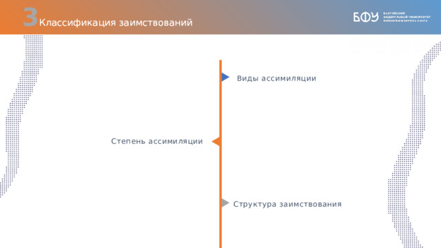  Классификация заимствований Виды ассимиляции Степень ассимиляции Структура заимствования 