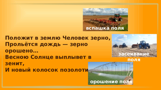 вспашка поля Положит в землю Человек зерно, Прольётся дождь — зерно орошено… Весною Солнце выплывет в зенит, И новый колосок позолотит. засеивание поля орошение поля 