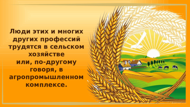Люди этих и многих других профессий трудятся в сельском хозяйстве или, по-другому говоря, в агропромышленном комплексе. 