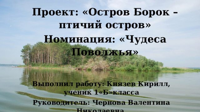 Проект: «Остров Борок –птичий остров» Номинация: «Чудеса Поволжья» Выполнил работу: Князев Кирилл, ученик 1«Б»класса Руководитель: Чернова Валентина Николаевна г. Ульяновск, 2019 г. 