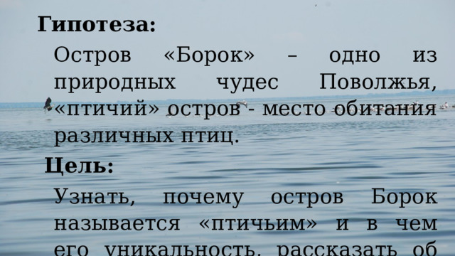 Гипотеза: Остров «Борок» – одно из природных чудес Поволжья, «птичий» остров - место обитания различных птиц.   Цель: Узнать, почему остров Борок называется «птичьим» и в чем его уникальность, рассказать об этом другим людям. 