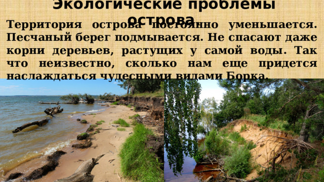 Экологические проблемы острова. Территория острова постоянно уменьшается. Песчаный берег подмывается. Не спасают даже корни деревьев, растущих у самой воды. Так что неизвестно, сколько нам еще придется наслаждаться чудесными видами Борка. . 