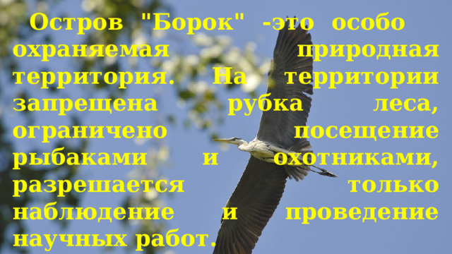  Остров 