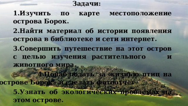  Задачи: 1.Изучить по карте местоположение острова Борок. 2.Найти материал об истории появления острова в библиотеке и сети интернет. 3.Совершить путешествие на этот остров с целью изучения растительного и животного мира.  4.Понаблюдать за жизнью птиц на острове Борок» и сделать фотоотчет 5.Узнать об экологических проблемах на этом острове. 6.Составить памятку поведения путешественников на острове Борок- заповедной территории серых цапель   