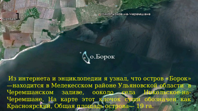 1  Из интернета и энциклопедии я узнал, что остров «Борок» —находится в Мелекесском районе Ульяновской области в Черемшанском заливе, ооколо села Никольское-на-Черемшане. На карте этот клочок суши обозначен как Красноярский, Общая площадь острова— 19 га.   