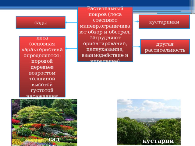 Растительный покров (леса стесняют манёвр,ограничивают обзор и обстрел, затрудняют ориентирование, целеуказание, взаимодействие и упраление) кустарники сады леса (основная характеристика определяется: породой деревьев возростом толщиной высотой густотой насаждения другая растительность сады кустарники 