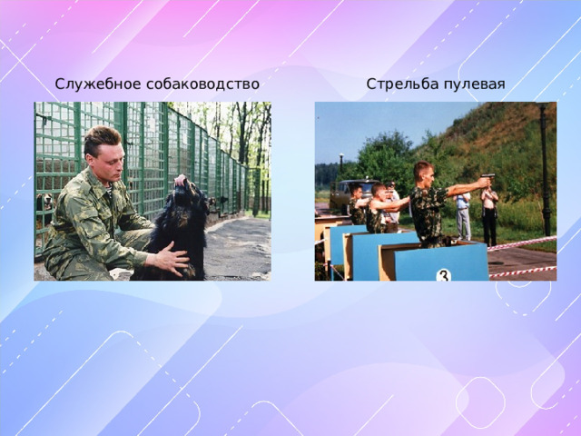 Служебное собаководство Стрельба пулевая 