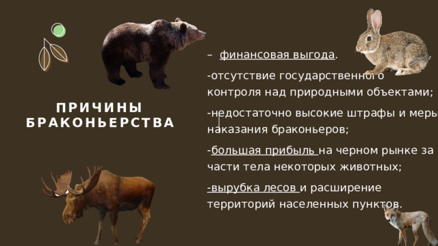 – финансовая выгода . -отсутствие государственного контроля над природными объектами; -недостаточно высокие штрафы и меры наказания браконьеров; - большая прибыль на черном рынке за части тела некоторых животных; -вырубка лесов  и расширение территорий населенных пунктов.  Причины браконьерства 