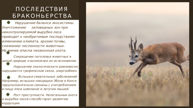 Последствия браконьерства  Нарушение баланса экосистемы. Уничтожение заповедных зон при неконтролируемой вырубке леса приводит к необратимым последствиям: изменению климата, эрозии почвы, снижению численности животных. Не менее опасна незаконная охота.  Сокращение поголовья животных в дикой природе и возможное их исчезновение.  Нарушение экологического равновесия, нарушаются трофические связи, энергообмен.  Вспышки смертельных заболеваний. Например, вспышки лихорадки Эбола в Конго предположительно связаны с употреблением в пищу мяса шимпанзе и летучих мышей.  Рост преступности. Нелегальные охота и вырубка лесов способствуют развитию коррупции. 