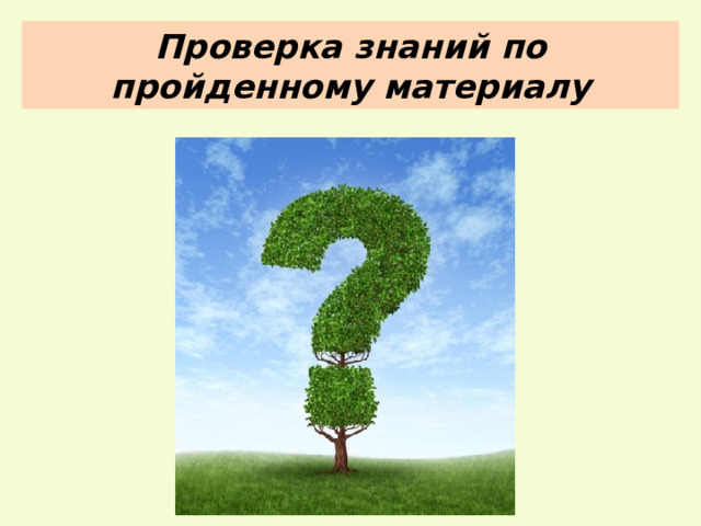 Проверка знаний по пройденному материалу 