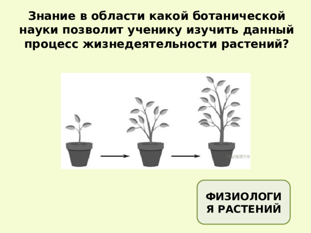 Знание в области какой ботанической науки позволит ученику изучить данный процесс жизнедеятельности растений? ФИЗИОЛОГИЯ РАСТЕНИЙ 