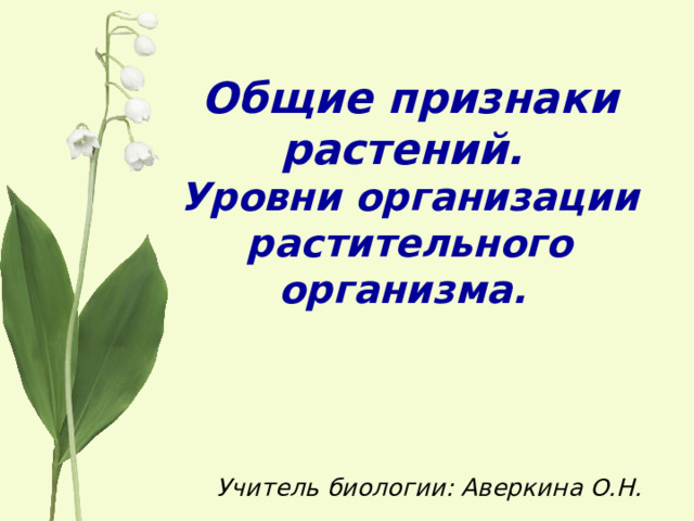 Общие признаки растений.  Уровни организации растительного организма. Учитель биологии: Аверкина О.Н. 