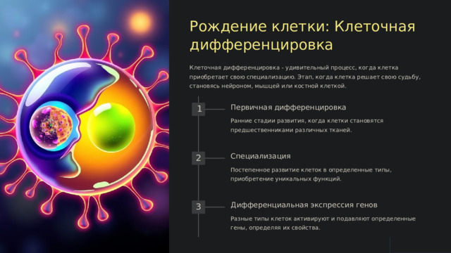  Рождение клетки: Клеточная дифференцировка Клеточная дифференцировка - удивительный процесс, когда клетка приобретает свою специализацию. Этап, когда клетка решает свою судьбу, становясь нейроном, мышцей или костной клеткой. Первичная дифференцировка 1 Ранние стадии развития, когда клетки становятся предшественниками различных тканей. Специализация 2 Постепенное развитие клеток в определенные типы, приобретение уникальных функций. Дифференциальная экспрессия генов 3 Разные типы клеток активируют и подавляют определенные гены, определяя их свойства. 