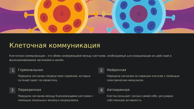  Клеточная коммуникация Клеточная коммуникация - это обмен информацией между клетками, необходимый для координации их действий и функционирования организма в целом. Гормональная Нейронная 1 2 Передача сигналов по нервным клеткам с помощью электрических импульсов. Передача сигналов посредством гормонов, которые путешествуют по кровотоку. Паракринная Автокринная 3 4 Передача сигналов между близлежащими клетками с помощью локальных молекул-посредников. Клетка посылает сигнал самой себе, регулируя собственную активность. 