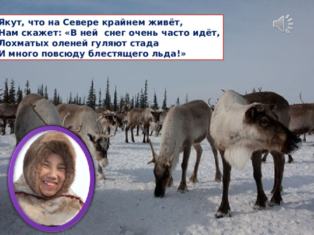 Якут, что на Севере крайнем живёт, Нам скажет: «В ней снег очень часто идёт, Лохматых оленей гуляют стада И много повсюду блестящего льда!» 