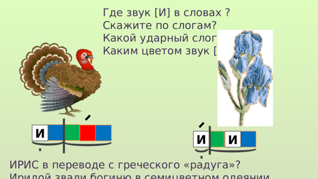 Где звук [И] в словах ? Скажите по слогам? Какой ударный слог? Каким цветом звук [И]? И  И И ИРИС в переводе с греческого «радуга»? Иридой звали богиню в семицветном одеянии.  