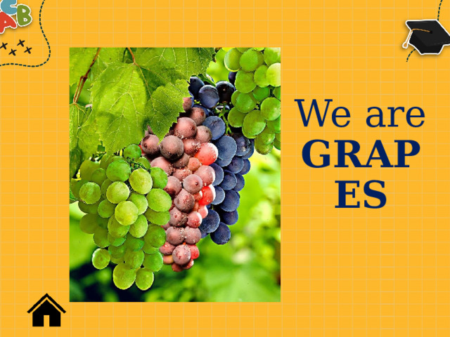 We are  GRAPES 