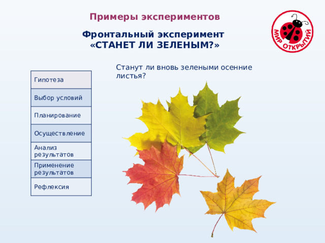 Примеры экспериментов  Фронтальный эксперимент «СТАНЕТ ЛИ ЗЕЛЕНЫМ?» Станут ли вновь зелеными осенние листья? Гипотеза Выбор условий Планирование Осуществление Анализ результатов Применение результатов Рефлексия 