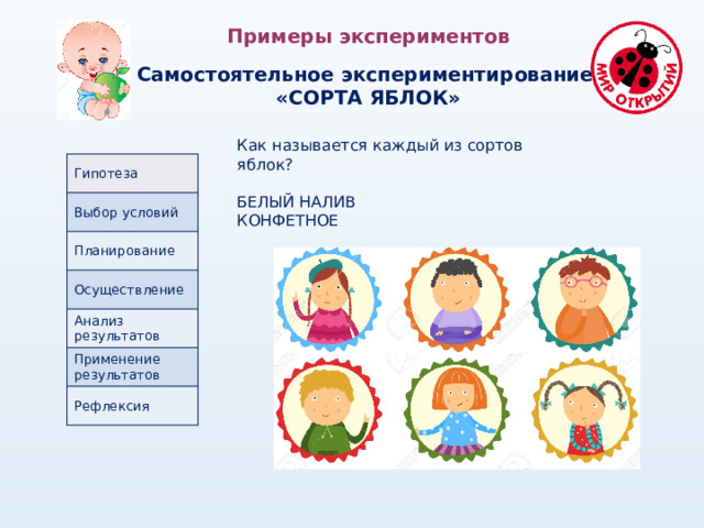 Примеры экспериментов  Самостоятельное экспериментирование «СОРТА ЯБЛОК» Как называется каждый из сортов яблок? БЕЛЫЙ НАЛИВ КОНФЕТНОЕ Гипотеза Выбор условий Планирование Осуществление Анализ результатов Применение результатов Рефлексия 