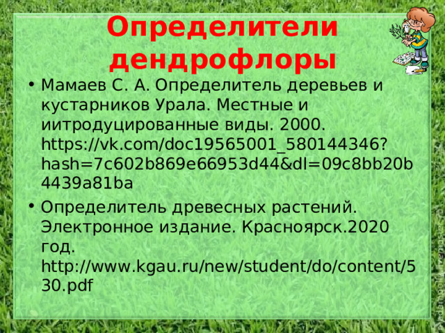 Определители дендрофлоры Мамаев С. А. Определитель деревьев и кустарников Урала. Местные и иитродуцированные виды. 2000. https://vk.com/doc19565001_580144346?hash=7c602b869e66953d44&dl=09c8bb20b4439a81ba Определитель древесных растений. Электронное издание. Красноярск.2020 год. http://www.kgau.ru/new/student/do/content/530.pdf  