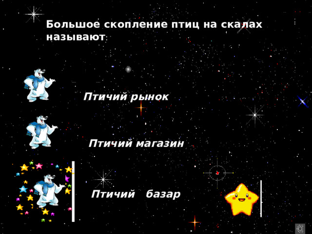 Большое скопление птиц на скалах называют : Птичий рынок  Птичий магазин  Птичий базар 